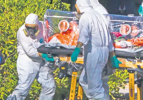 Răsuflăm ușurați! Malaria e mai puțin periculoasă ca Ebola!