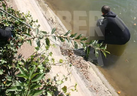 DETALII INCREDIBILE în cazul MORŢII ÎNVĂŢĂTOAREI din Iaşi. Îşi PLĂNUISE SINUCIDEREA de mai multe zile