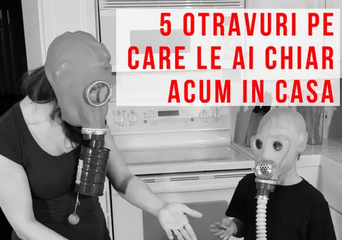 5 toxine periculoase din casa ta. Vezi cum scapi de ele