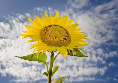 PROGNOZA METEO | Cum va fi VREMEA sâmbătă şi duminică