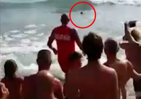 Panică pe o plajă din apropierea Romei! Un rechin s-a apropiat la câţiva metri de ţărm | VIDEO