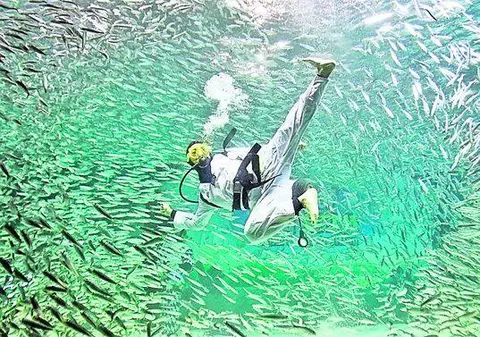 Două campioane naţionale la arte marţiale sunt suspectate că fac parte dintr-o reţea de trafic de persoane