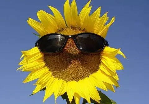 Cum va fi VREMEA ÎN URMĂTOARELE DOUĂ SĂPTĂMÂNI? PROGNOZA METEO