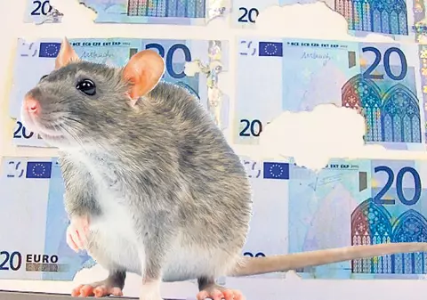 Şoarecii au lăsat-o fără pensie!