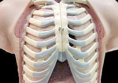 AVEM CAPACITĂŢI SUPRANATURALE? Oamenii SE POT REGENERA