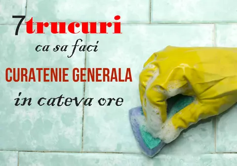 Cum faci curăţenie generală în jumătate de zi