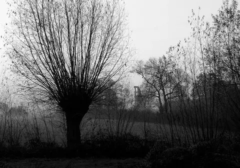 PROGNOZA METEO PÂNĂ ÎN DECEMBRIE! CUM VA FI VREMEA în toamna aceasta şi la începutul iernii