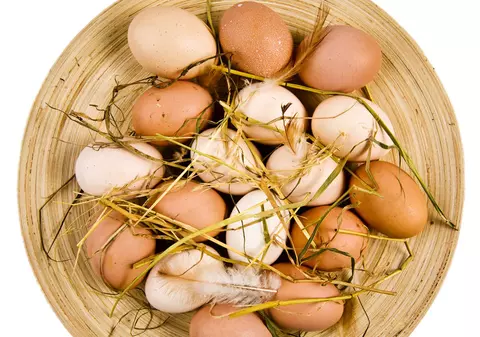 8 lucruri despre OUĂ pe care NU AI VREA SĂ LE AFLI