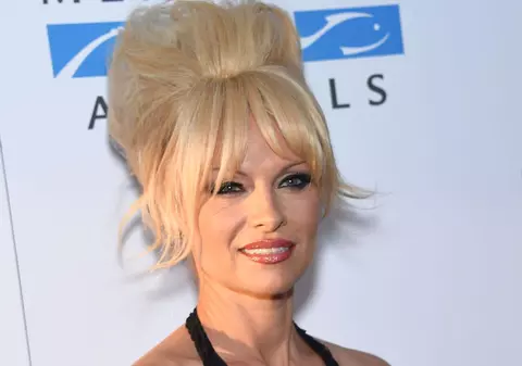 PAMELA ANDERSON, "CIOPÂRŢITĂ" în PHOTOSHOP! În ce HAL au putut să o MODIFICE!