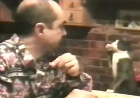 Un bărbat şi o pisică "vorbesc" aceeaşi limbă! Uite CUM CERE MÂŢA DE MÂNCARE | VIDEO