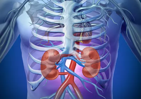 5 semne că trebuie să-ți detoxifici rinichii