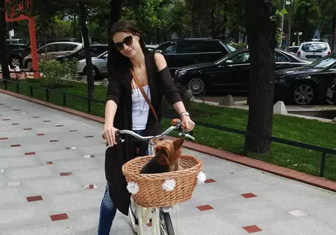 Lally îi caută cu disperare iubită câinelui său pentru a-l dezvăţa de simulări cu păpuşi