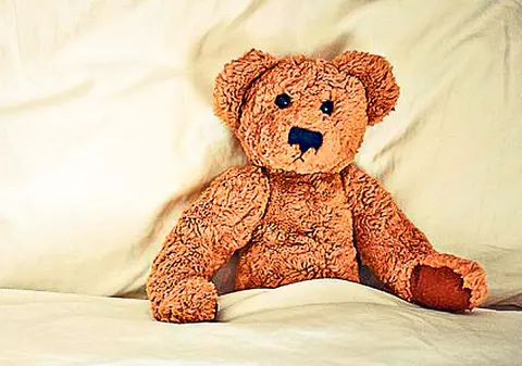 Arestat pentru că n-a rezistat farmecelor ursuleţului