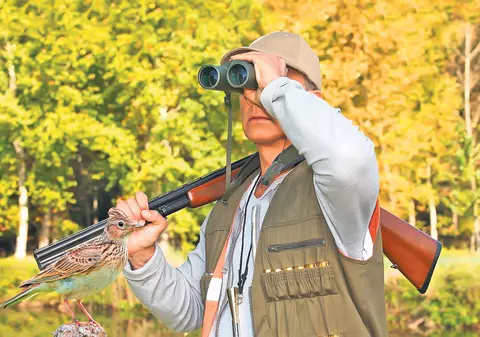 Le plac păsărelele noastre! Iată de ce vânează italienii ciocârlia românească!