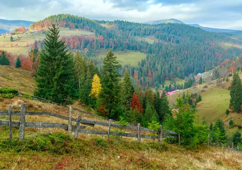 Mafia pădurilor, girată de politicieni? Parlamentari, judecători, prinţi şi avocaţi, luaţi la grămadă într-un megadosar de corupţie