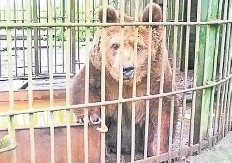GRĂDINA ZOOLOGICĂ din BRAŞOV, REDESCHISĂ după 2 ANI!