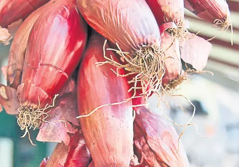 CEAPA ROŞIE TE AJUTĂ SĂ SLĂBEŞTI! Uite cum trebuie să o consumi