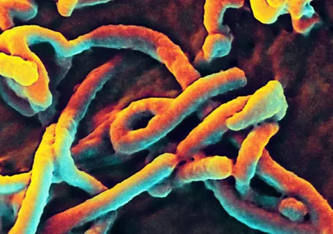 Asta ne mai lipsea! O companie americană a dat lovitura cu o jucărie Ebola | VIDEO