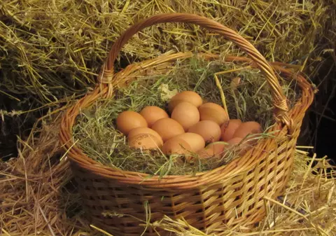 PERICOL! OUĂLE ŞI LEGUMELE de la ţărani NU SUNT ATÂT DE SĂNĂTOASE! CE s-a DEPISTAT ÎN aceste PRODUSE?