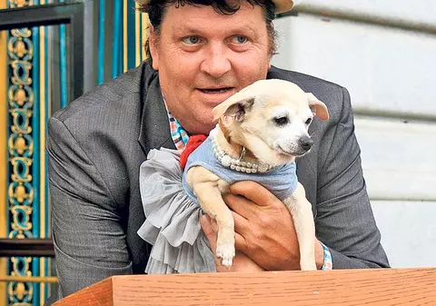 Un chihuahua, primarul oraşului San Francisco pentru o zi