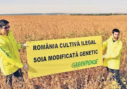 Producţie-record de soia!