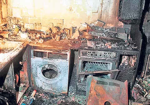 Hamsterul a deschis focul în miez de noapte