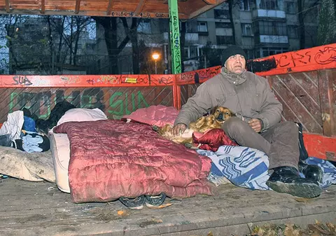 EXCLUSIV | Viaţă de câine