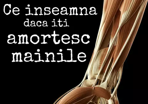 De ce îţi amorţesc mâinile şi picioarele