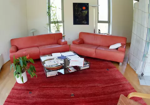 6 ODORIZANTE NATURALE pentru CASĂ