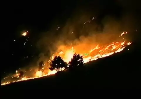 INCENDIU DE PĂDURE ÎN HUNEDOARA! Hectare întregi au ars în MASIVUL ȘUREANU