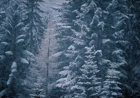 PROGNOZA METEO | Cum va fi VREMEA în WEEKEND