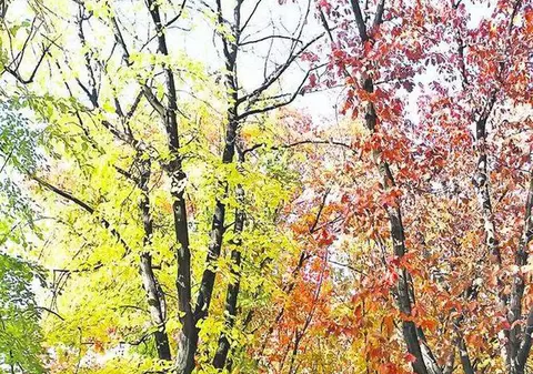 PROGNOZA METEO| TEMPERATURI peste MEDIE în zilele următoare