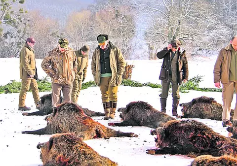 GALERIE FOTO / Feriţi-vă din calea lor, fiindcă fac prăpăd! ^Topul puşcaşilor de elită din sportul românesc