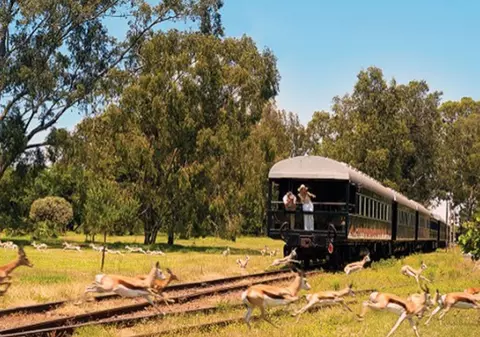 AI MAI VĂZUT AȘA CEVA? Cel mai LUXOS tren din lume: cât COSTĂ o călătorie și ce REGULI trebuie să respecte pasagerii | VIDEO