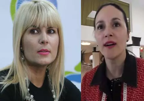 Dorin Cocoş, în DOSARUL şefei DIICOT, Alina Bica. Ar fi primit 10 milioane de euro. REACȚIA ELENEI UDREA