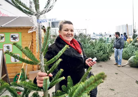 Se caută brazii cu voucher!