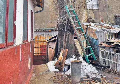 Autorităţile spun lucruri trăsnite: Dărâmaţi-vă casele, ca să putem tăia copacul!