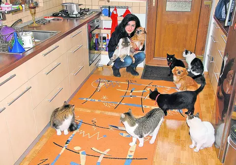 Casa ei, ca Arca lui Noe!