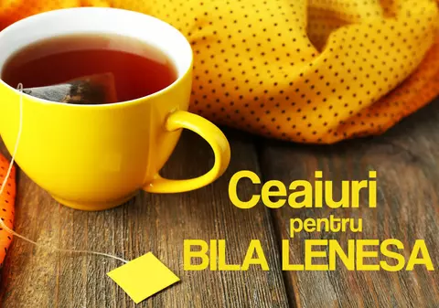 CUM SĂ-ŢI PROTEJEZI BILA DE SĂRBĂTORI