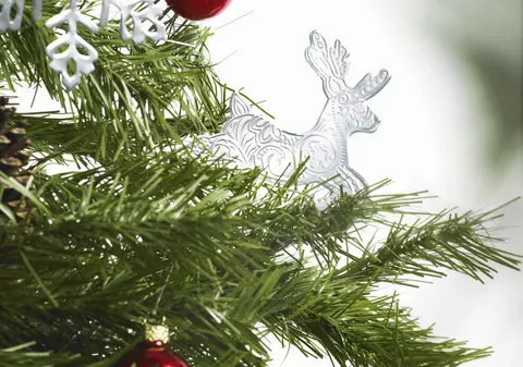 CRĂCIUN cu TEMPERATURI de PRIMĂVARĂ. VEZI PROGNOZA METEO