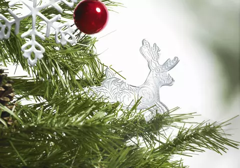 PROGNOZA METEO. Cum va fi VREMEA de CRĂCIUN