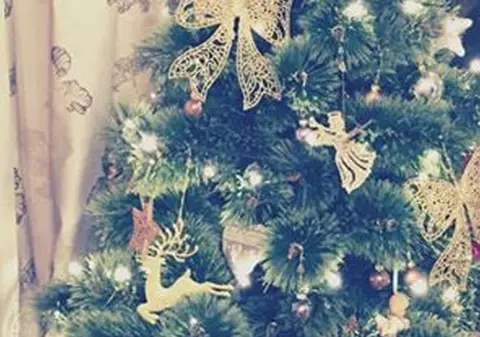 N-a MAI AVUT RĂBDARE! Un STAR de la NOI a ÎMPODOBIT DEJA BRADUL!