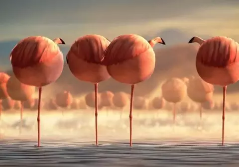 FOARTE TARE! Cum ar arăta ANIMALELE, dacă AR MÂNCA LA FAST FOOD | VIDEO  