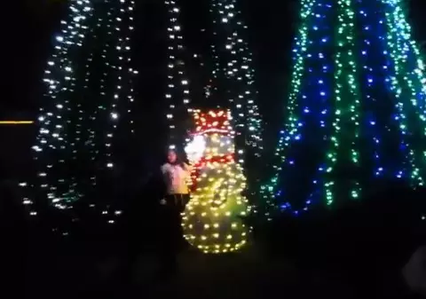 Un CROAT și-a DECORAT casa cu 1.500.000 de luminiţe | VIDEO