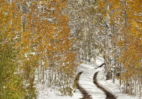 STRATUL de ZĂPADĂ va atinge și 20 de centimetri. PROGNOZA METEO pentru marți și miercuri