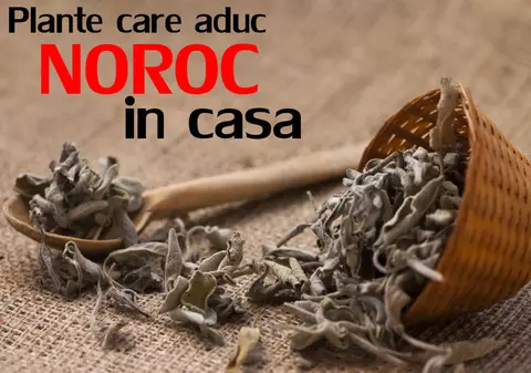 Cum alungi piaza rea şi scapi de ghinioane