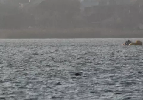 Tragedie la malul mării. Un tânăr de 18 ani a murit înecat în Siutghiol