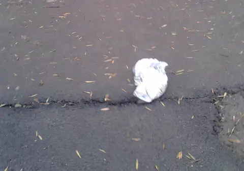 CE NE ENERVEAZĂ | Oamenii care aruncă gunoiul pe geam