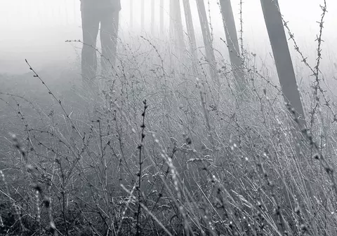 Braconierii umblă cu gardul vopsit cu... capcane! EXCLUSIV