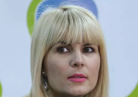Elena Udrea în dosarul Microsoft! Şefa PMP susţine că fostul său soţ a minţit-o